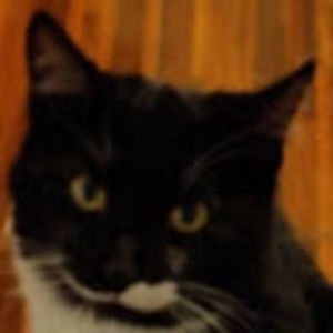 Meet your Posher, Jaime